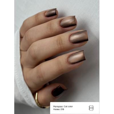 Гель-лак Cat Сolor Ga&Ma Кет Колор 018, 6 мл