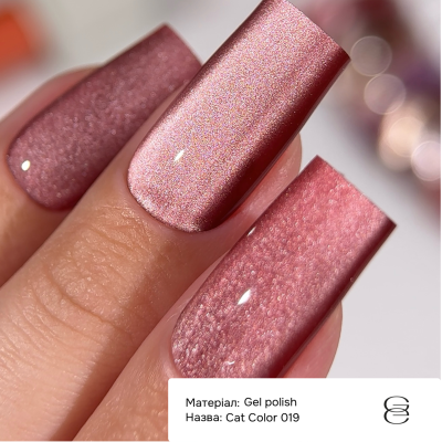 Гель-лак Cat Сolor Ga&Ma Кет Колор 019, 6 мл 